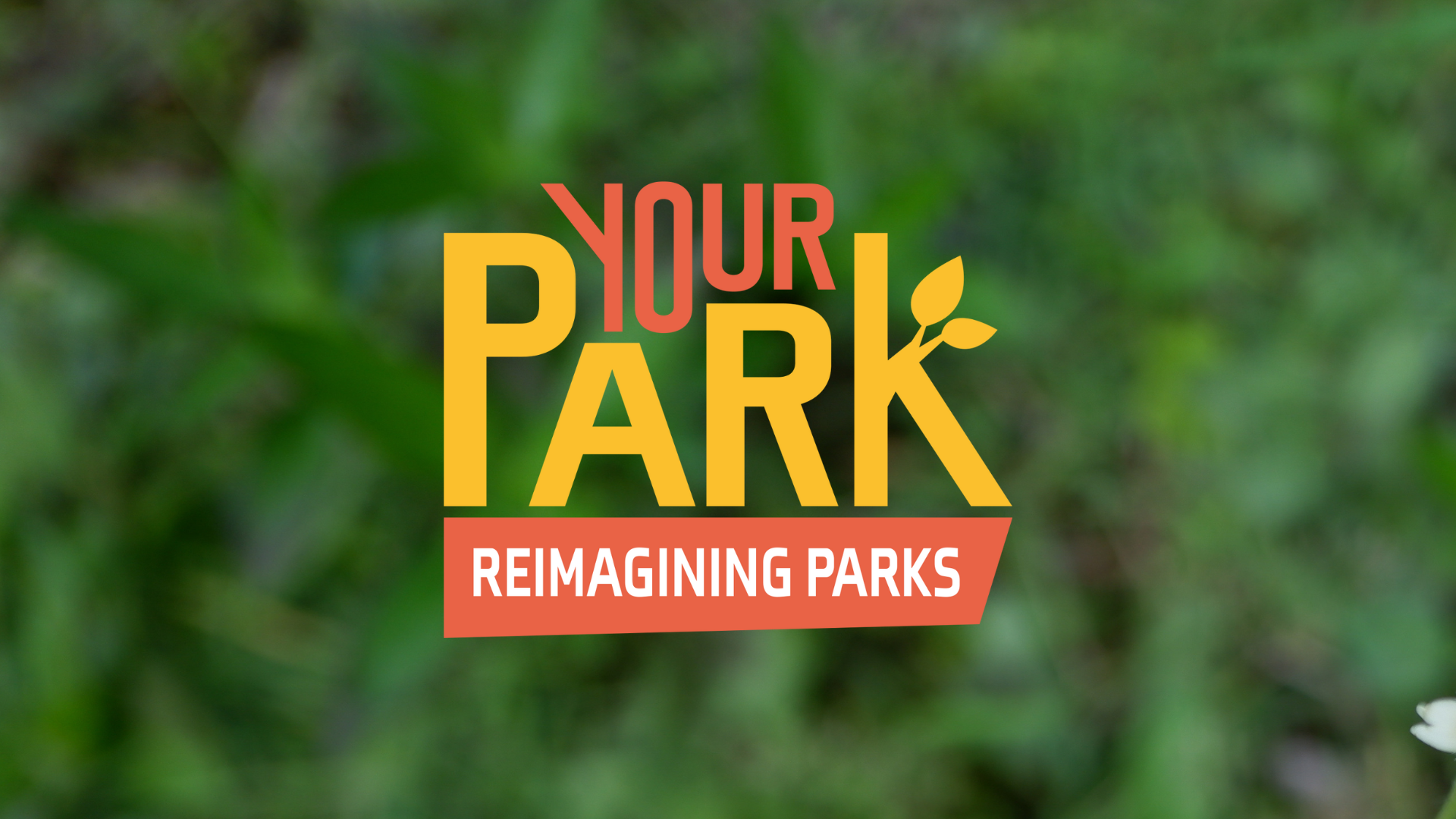 Reimagining parks